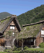 시라카와고와 고카야마 역사 마을